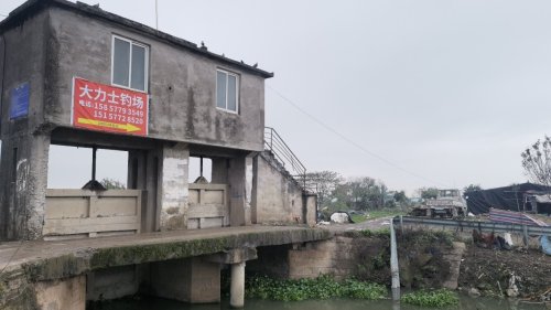 大力士钓场钓点与钓场环境照片