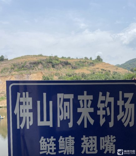 阿来钓场钓点与钓场环境照片