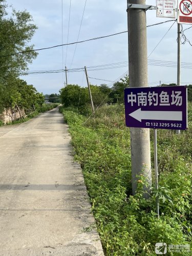 中南钓鱼场钓点与钓场环境照片