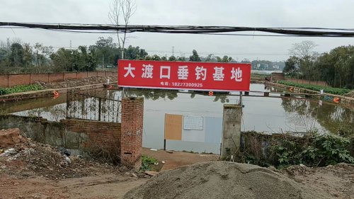 大渡口垂钓基地钓场环境照片