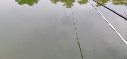 横茶新屋村钓场钓场环境照片