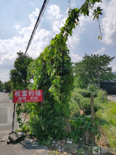 杭富垂钓园钓场环境缩略图