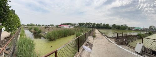 唐山丰南柳树乐聚河蟹垂钓钓场环境照片