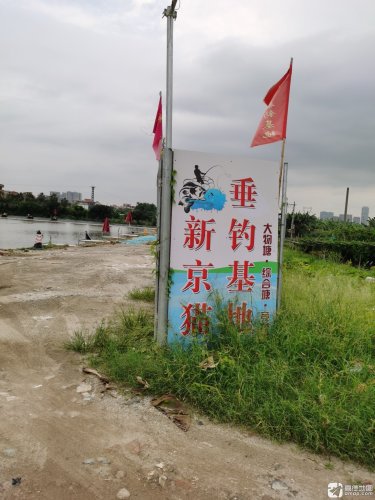 新京猫垂钓基地钓点与钓场环境照片