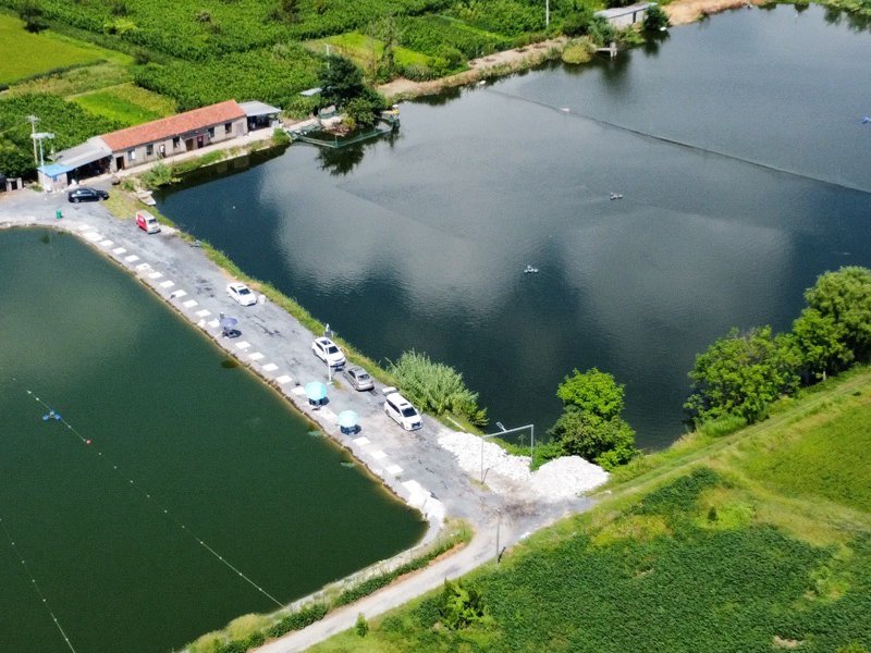 海安痞子鱼垂钓场钓场环境照片