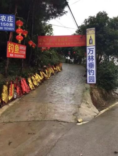 万林垂钓园钓场环境照片