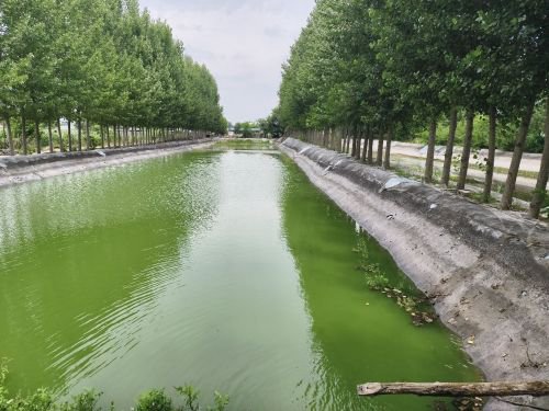 安城垂钓园钓点与钓场环境照片