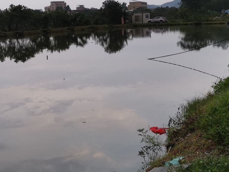 朋乐钓鱼场钓点与钓场环境照片