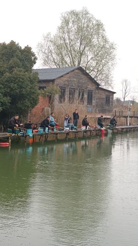 胥王混养垂钓基地钓场环境照片
