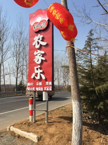 桃源农家乐垂钓园钓点与钓场环境照片