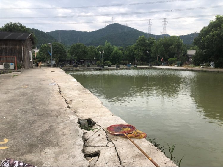 岭南垂钓园钓点与钓场环境照片