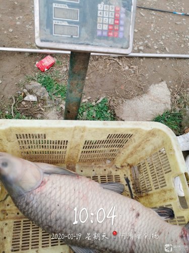 阿清垂钓场钓场环境照片