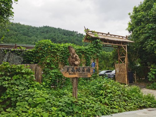 莫高路鱼塘钓点与钓场环境照片