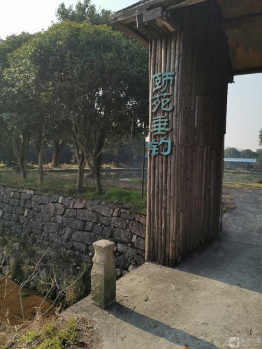 颐苑垂钓钓点与钓场环境照片
