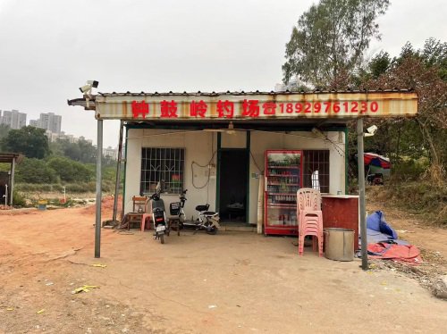 钟鼓岭钓场钓场环境照片