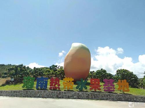 海南热带水果基地钓场环境照片
