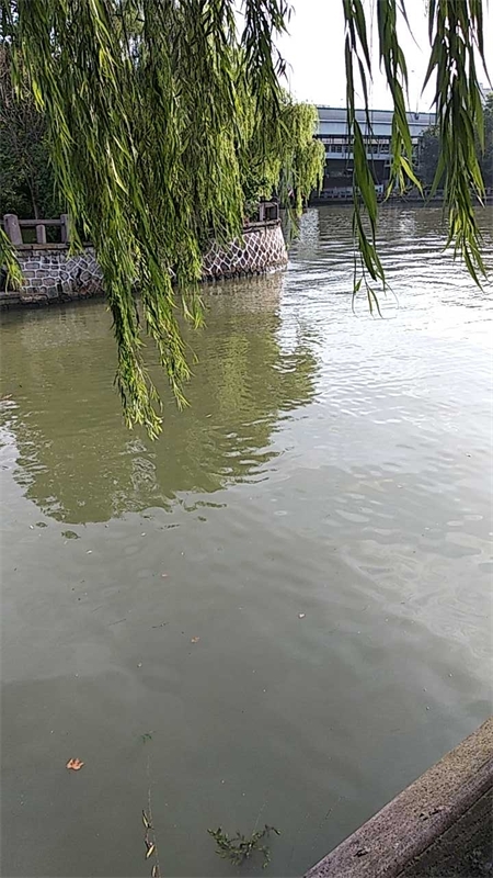 京杭大运河北星桥钓点与钓场环境照片