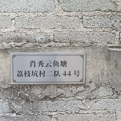 肖秀云鱼塘钓场环境照片