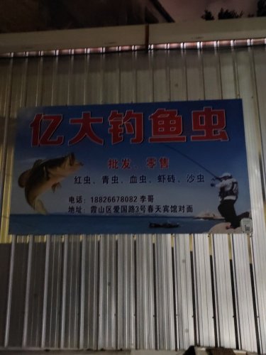 亿大钓鱼虫钓点与钓场环境照片