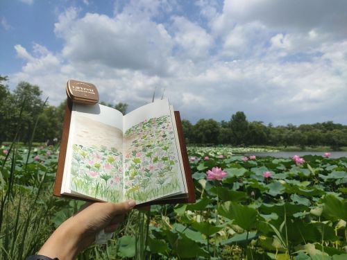 垂钓园钓点与钓场环境照片