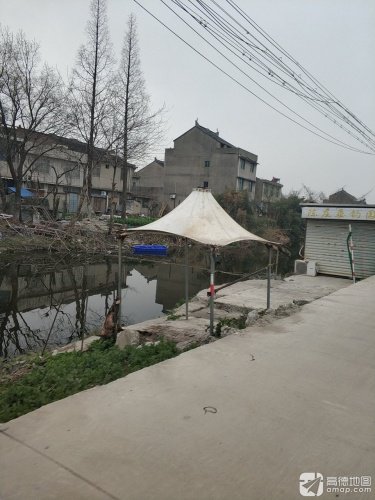 陈庄垂钓园钓场环境照片