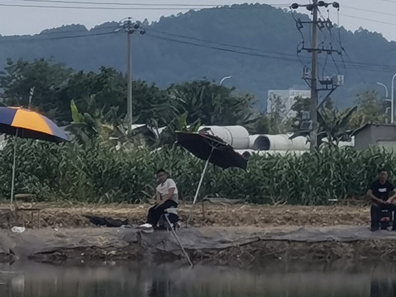 琅岐保钓鱼场钓场环境照片