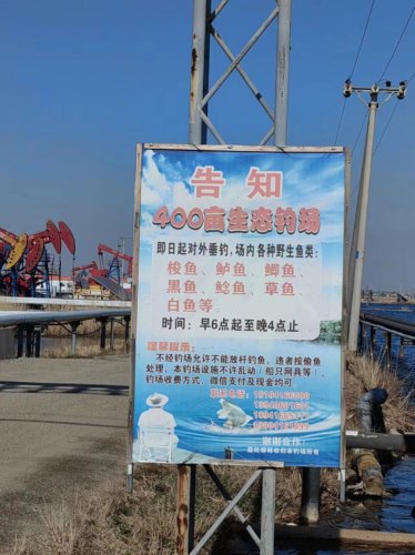凌海400亩生态垂钓场钓场环境照片