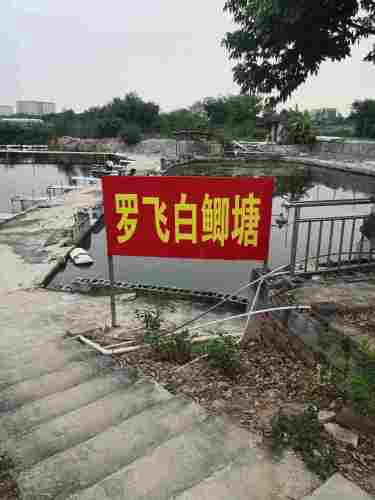 听雨池垂钓园钓场环境照片