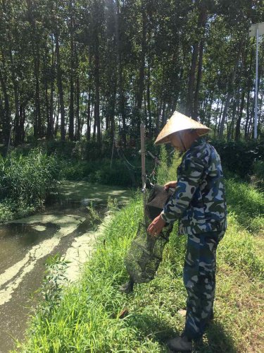 四哥小龙虾垂钓园钓场环境照片