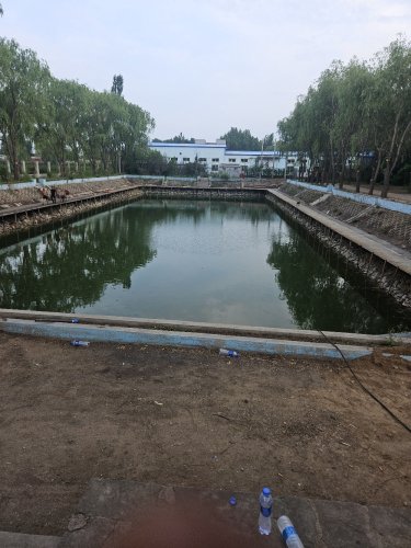昊鑫养殖基地钓场钓场环境照片