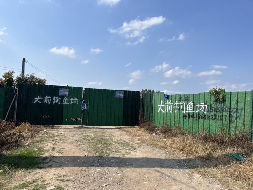 大前钓鱼场钓点与钓场环境照片
