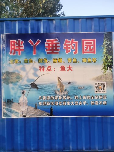 胖丫垂钓园钓点与钓场环境照片