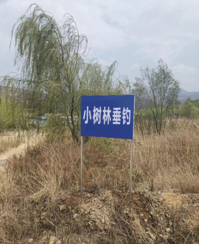 小树林垂钓钓场环境照片