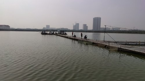 双赢垂钓园钓点与钓场环境照片