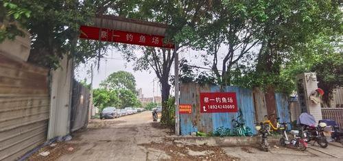 蔡一钓鱼场钓点与钓场环境照片