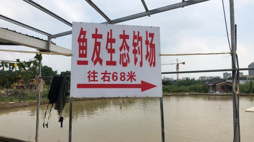 鱼友生态钓场钓场环境照片
