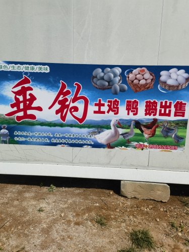 爱上渔垂钓园钓点与钓场环境照片