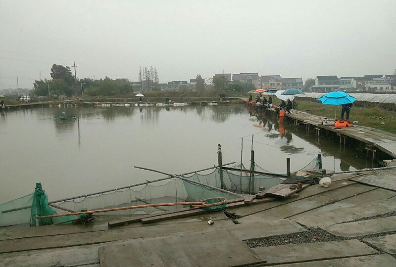 粽子文化园老三钓鱼塘钓点与钓场环境照片