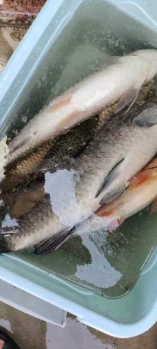 翔安曾林老四钓鱼场钓场环境照片