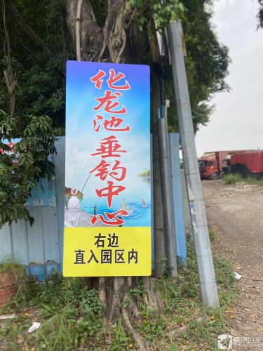 番禺化龙池垂钓中心钓点与钓场环境照片
