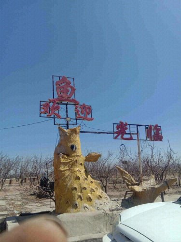 浩达山庄竞技垂钓中心钓场环境照片