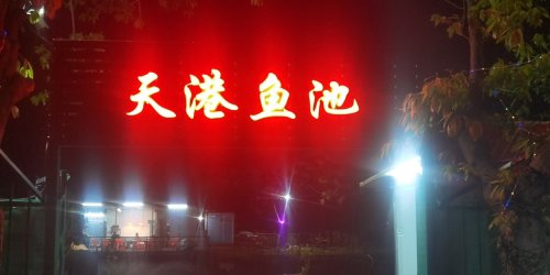 天港鱼池钓点与钓场环境照片