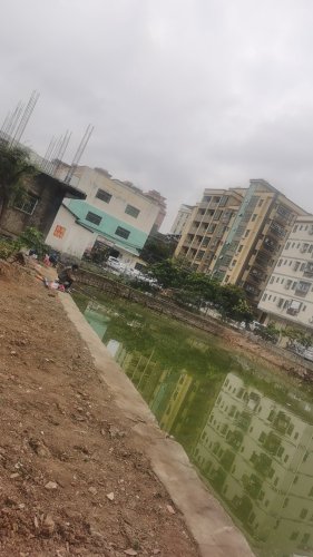 惠州市惠阳区秋长街道办白石村委会沿湖钓鱼钓点与钓场环境照片