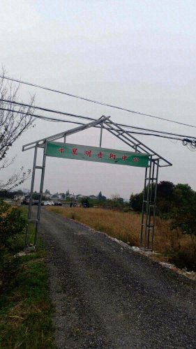 溧阳市千里湖垂钓中心钓场环境照片