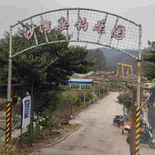 沙湾鱼乐场钓点与钓场环境照片