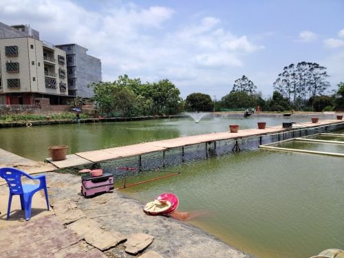 陆屋江湖钓场钓场环境照片