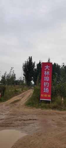 大林埠钓场钓点与钓场环境照片