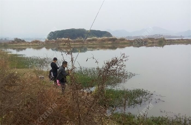 余杭南湖公园钓点与钓场环境照片