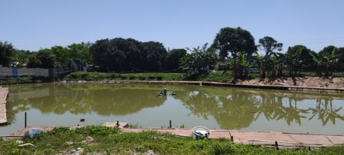 阿水钓场钓场环境照片