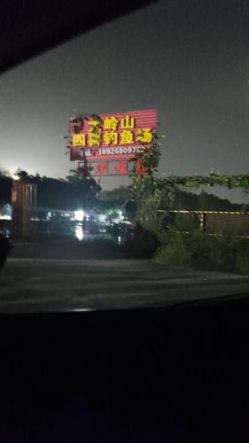 大岭山四喜钓鱼场钓点与钓场环境照片